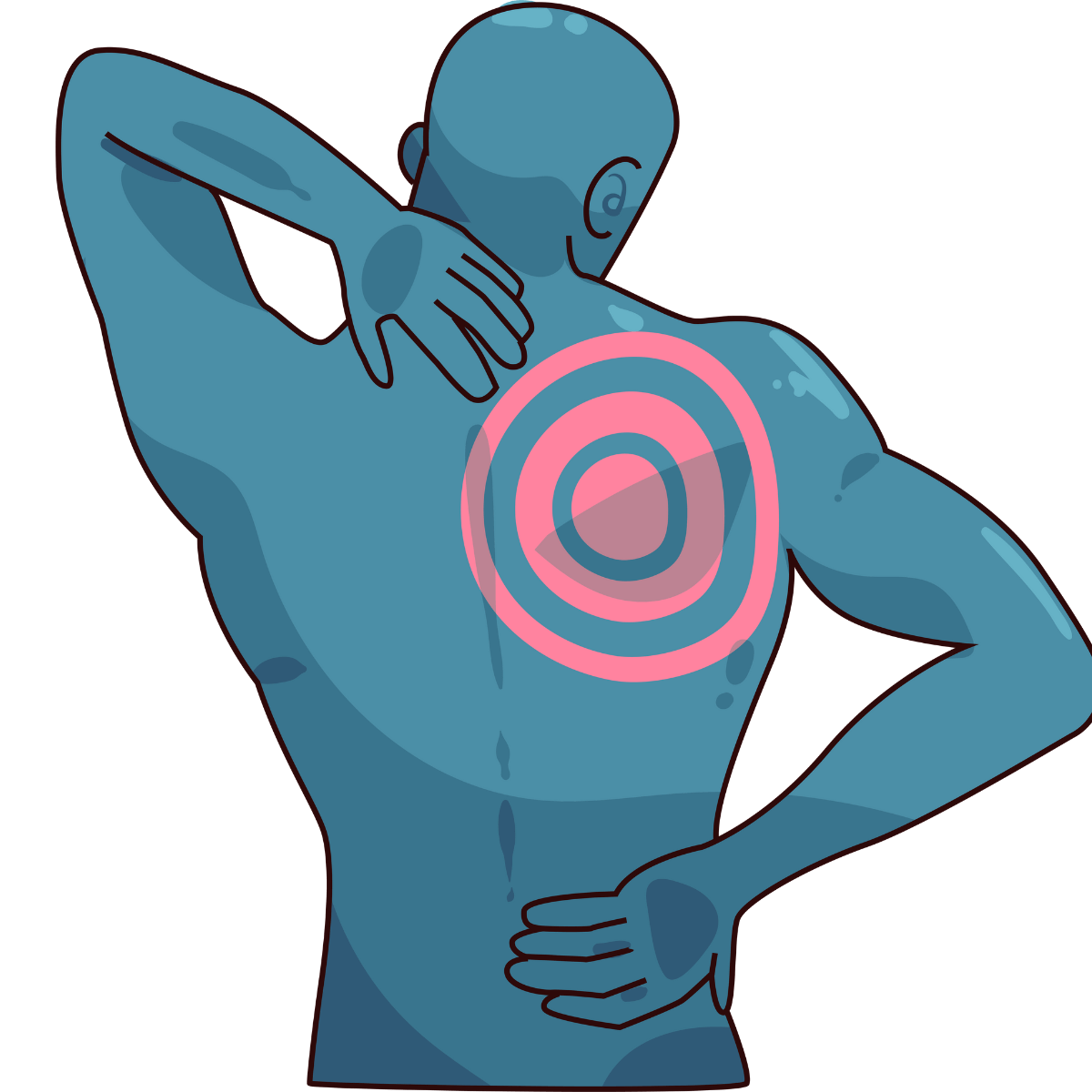 BEST back pain physiotherapy near me